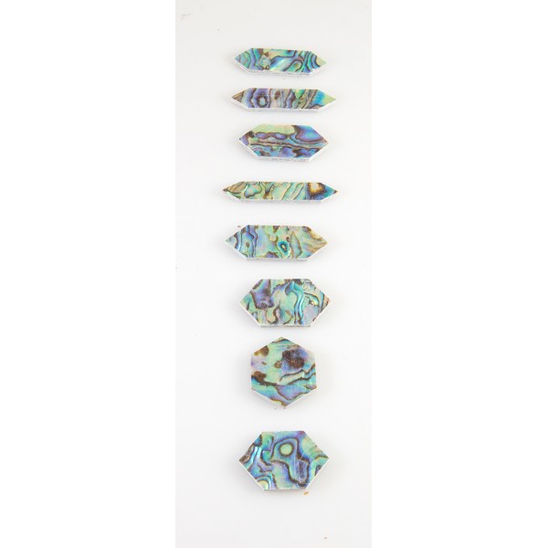 Abalone 8pcs/set(D45 Style)